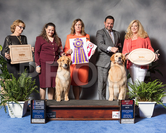 Golden Retriever #6 #27 Wed BOB BOS Andras Jim Agent Colette Livingston Clint Livingston Judge Ms Deborah A HubbardSSR_3383Hstn2018-HR3