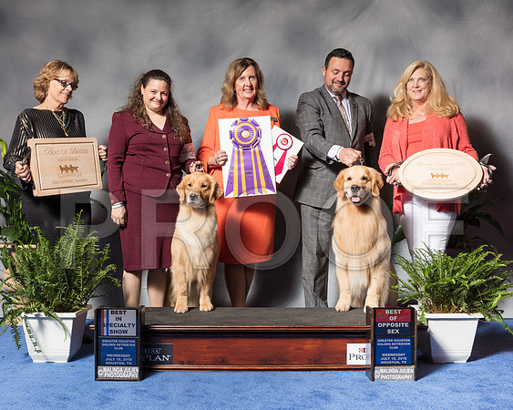 Golden Retriever #6 #27 Wed BOB BOS Andras Jim Agent Colette Livingston Clint Livingston Judge Ms Deborah A HubbardSSR_3387Hstn2018-HR3