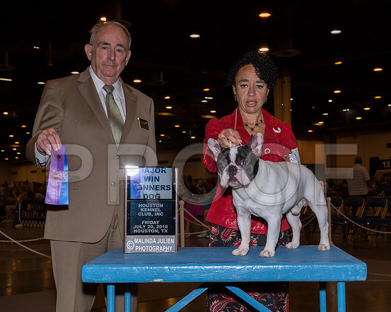 French Bulldog #5 Fri WD Maj Driebelbis Judge John Wade_JJ_5123-Hstn2018-HR3