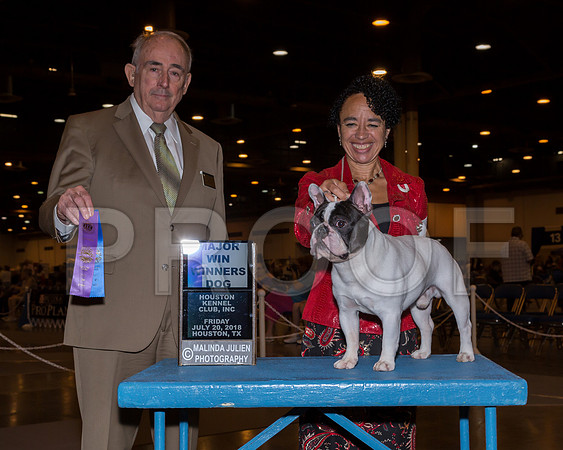 French Bulldog #5 Fri WD Maj Driebelbis Judge John Wade_JJ_5124-Hstn2018-HR3