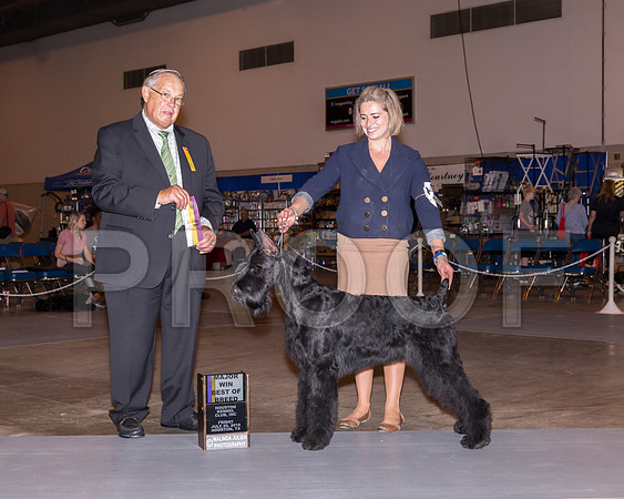 Giant Schnauzer #7 Fri BOB Maj Pineda Mark Claudia Mendoza Judge John Wade_CL_7628-Hstn2018-HR3