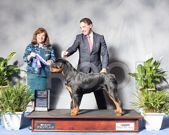 Rottweiler #26 Wed BOW Ritzke Carol Judge Anne Marie Taylor Agent Perry PaysonSSR_3681Hstn2018-HR3