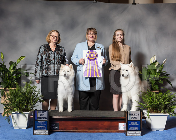 Samoyed #23 #8 Wed SD MAJ Sorley Melissa Judge Mrs Erica FlahautSSR_3434Hstn2018-HR3