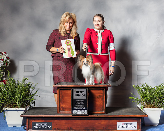 Papillon #J757 Thur BJr Stewart Grace Judge Mrs Linda PittsSSR_3933Hstn2018-HR3