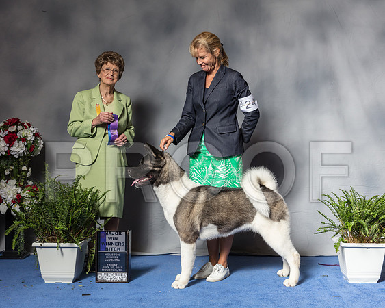 Akita #24 Fri WB MAJ Sp BOH Witte Rick Mrs Patricia V TrotterSSR_4713Hstn2018-HR3