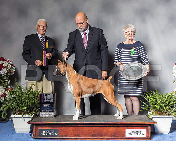 Boxer #66 Fri BISp Robbins Keith Agent Michael Shepherd Judge Mr Charles E TrotterSSR_4774Hstn2018-HR3