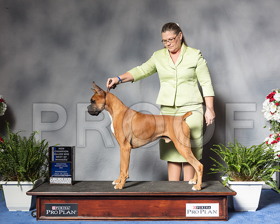 Boxer #9 Wed Wilke Debra Judge Mr Joe C WaltonSSR_4787Hstn2018-HR3