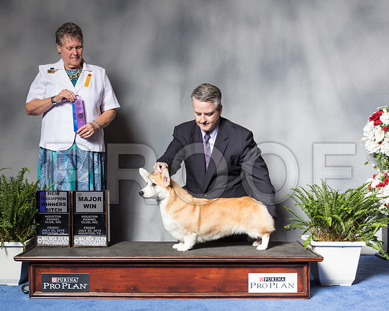 Pembroke Welsh Corgi #24 Fri WB MAJ NC Allen Russell Judge Mrs Stephanie Seabrook HedgepathSSR_4745Hstn2018-HR3