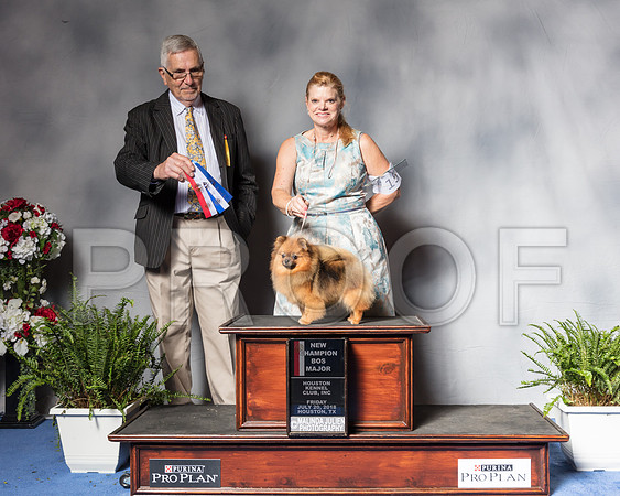 Pomeranian #14 Fri BOS NC MAJ Gilstrap Davis Judge Mr Lewis W BayneSSR_4731Hstn2018-HR3