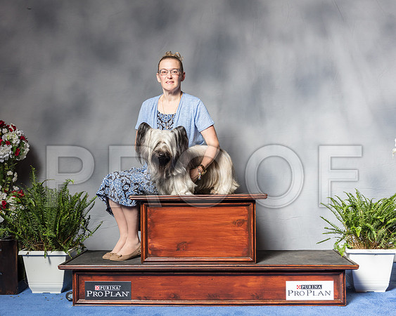 Skye Terrier #10 Fri Middleton Sharon CUSTOMSSR_4655Hstn2018-HR3