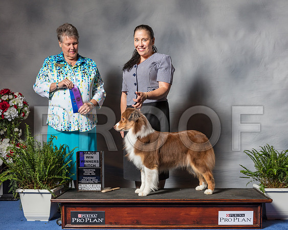 Australian Shepherd #28 Thur First MAJ Barnett Mary Anne Judge Mrs Stephanie Seabrook Hedgepath-SSR_3979-Hstn2018