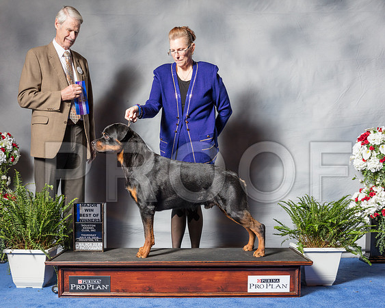 Rettweiler #7 Thur BOW MAJ Zavidny Pamela Judge Mr Jon R Cole-SSR_4000-Hstn2018