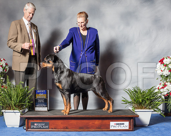 Rottweiler #18 Thur BOB Larroquette Brenda Judge Mr Jon R Cole-SSR_3997-Hstn2018