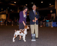 Brittany #31 Fri BOB Trezise Daniel Lee Rose Leale Judge Charles Trotter