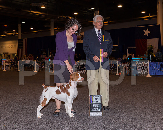 Brittany #31 Fri BOB Trezise Daniel Lee Rose Leale Judge Charles Trotter_CL_7631-Hstn2018-HR3