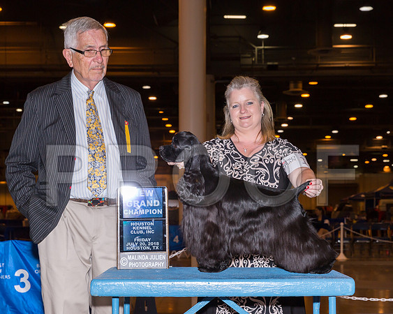 Cocker Spaniel Black #20 Fri NCG Dunnam Kara Judge Mr Lewis W Bayne_CL_7646-Hstn2018-HR3