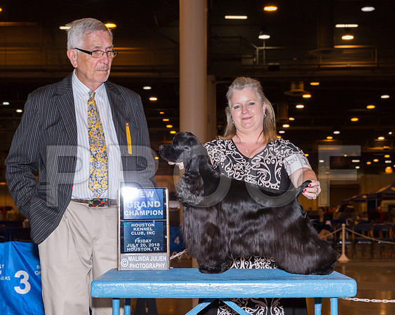 Cocker Spaniel Black #20 Fri NCG Dunnam Kara Judge Mr Lewis W Bayne_CL_7645-Hstn2018-HR3