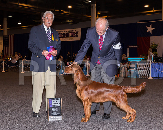 Irish Setter #8 Fri WB Maj Mary Foote Judge Charles Trotter_CL_7633-Hstn2018-HR3