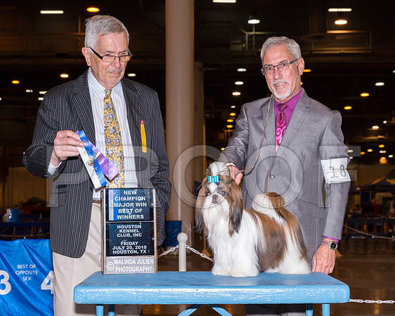 Shih Tzu #10 Fri BOW NCh Kilgore Sean Judge Lewis Bayne_CL_7636-Hstn2018-HR3