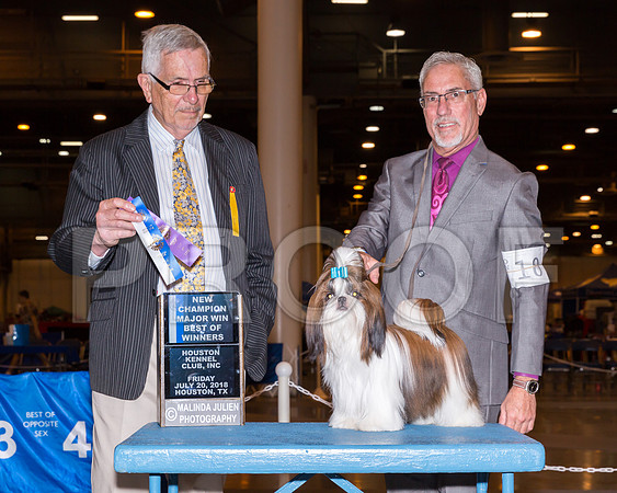 Shih Tzu #10 Fri BOW NCh Kilgore Sean Judge Lewis Bayne_CL_7637-Hstn2018-HR3