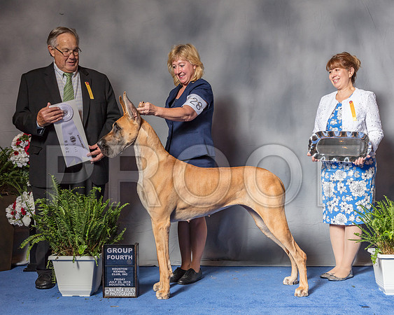 Great Dane #28 Fri G4 Judge John Wade-SSR_5109-Hstn2018