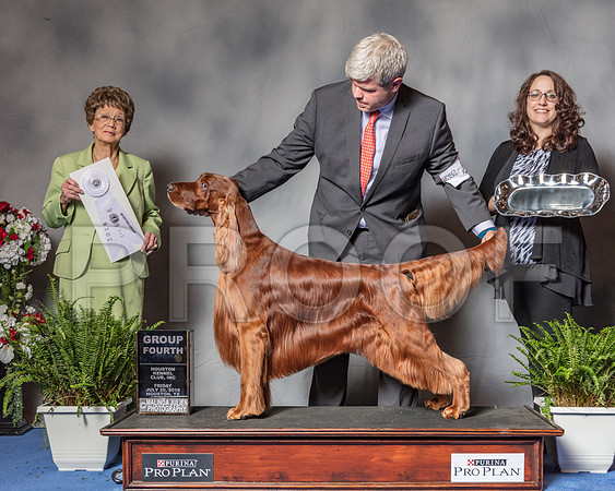 Irish Setter #5 Fri G4 Judge Pat Trotter-SSR_5222-Hstn2018