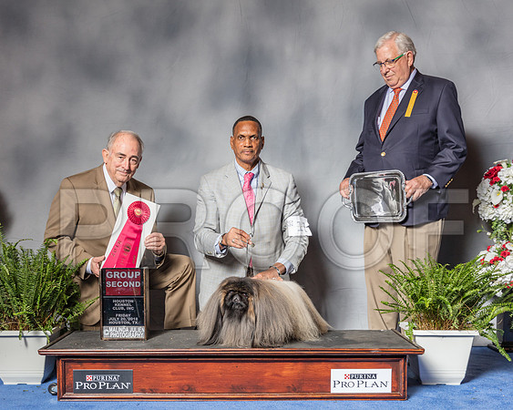 Pekingese #11 Fri G2 Judge Joe Walton-SSR_5234-Hstn2018
