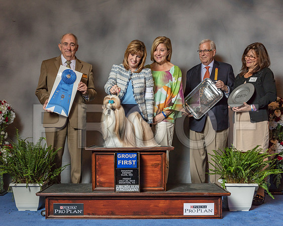 Shih Tzu #5 Fri G1 Judge Joe Walton-SSR_5238-Hstn2018