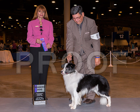 Border Collie #17 Sat WD Judge Linda Hurlebaus_CL_7680-Hstn2018-HR3