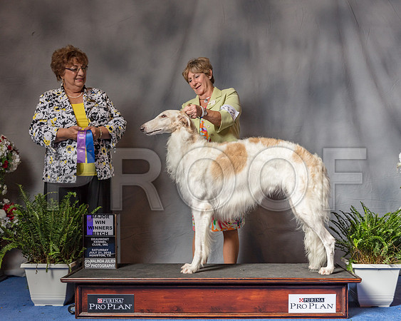 Borzois #32 Sat WB MAJ Judge Marilyn Pipes-SSR_5554-Hstn2018