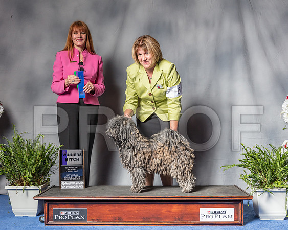 Pulik #6 Sat WB Judge Lind Hurlebaus-SSR_5721-Hstn2018