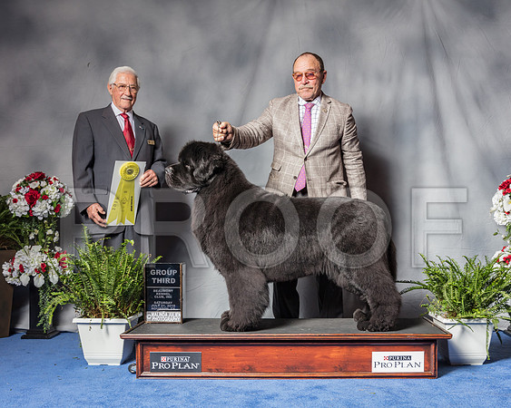 Newfoundland #7 Sat G3 Judge Charles Trotter-SSR_5945-Hstn2018