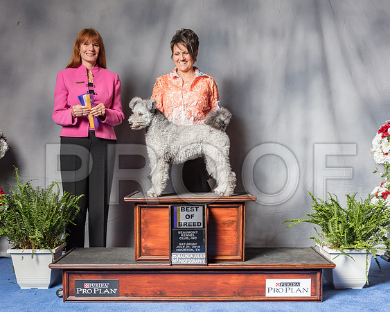 Pumi #8 Sat BOB Judge Linda Hurlebaus-SSR_5883-Hstn2018