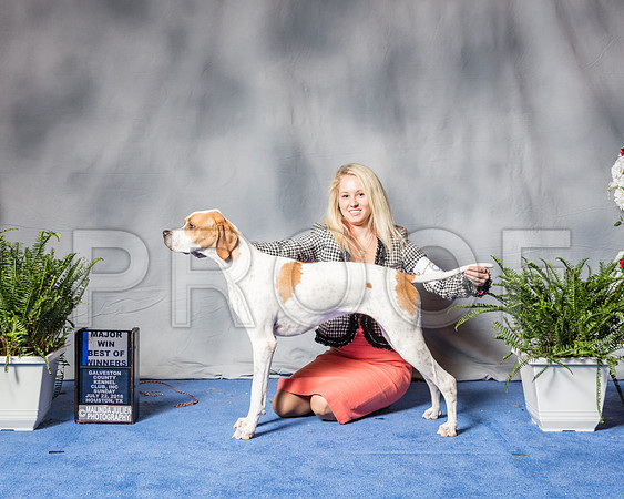 Pointer #6 Sun BOW MAJ Judge Danelle Brown-SSR_6212-Hstn2018