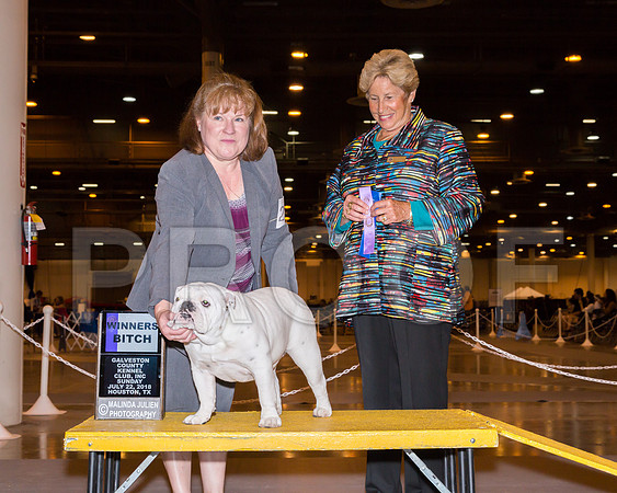 Bulldog #22 Sun WB Judge Sheila D Paske_JJ_5181-Hstn2018-HR3