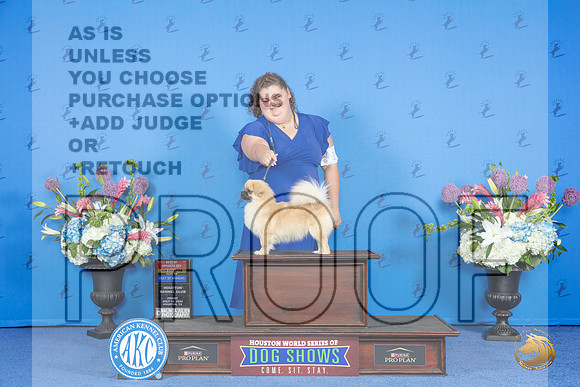TIbetan Spaniel #12 FRI WB BW BOS NC Judge Jon Cole__JP_9131_Houston_2024_HR3