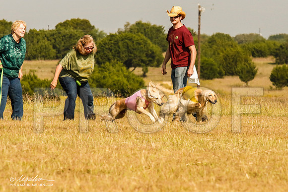 _MJ_4453-AfgBeltonOct2014-HR3