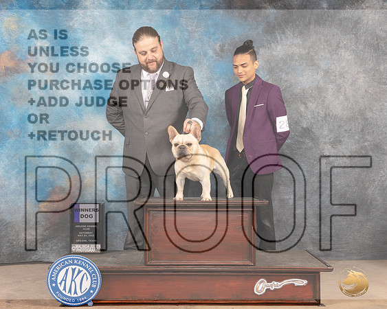 French Bulldog #17 Sat WD Judge Gloria Kerr-MMJ_3964-Abilene2022-HR3
