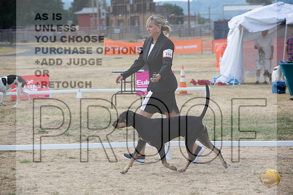Ringside Longview WA 2024 Catahoula #286_JJL_3515_Longview WA_2024_HR3