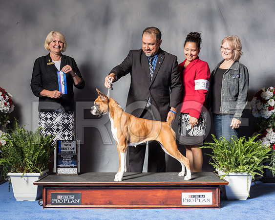 Boxer #32 Sun BOW WD Maj Judge Debra Thornton-SSR_6723-Hstn2018