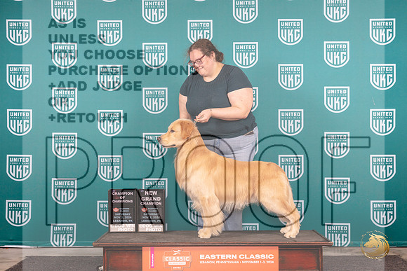 Golden Retriever # Sat COCGCH Judge William Chrazanowski__JP_2082_UKCEastern_2024_HR3