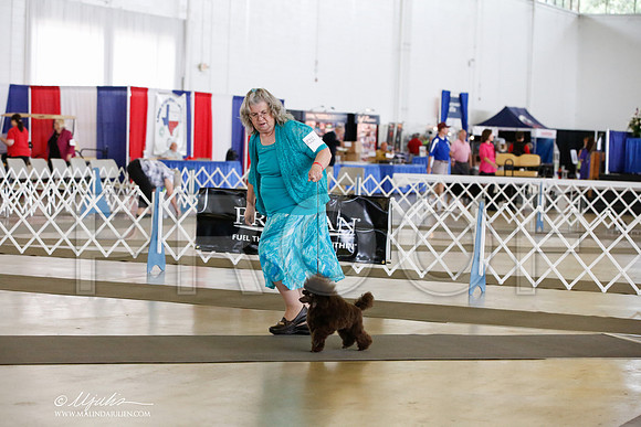 _JJ_4524-DallasJul2014-HR3