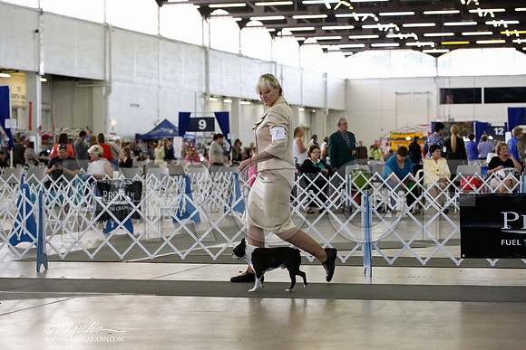 _CK_4706-DallasJul2014-HR3