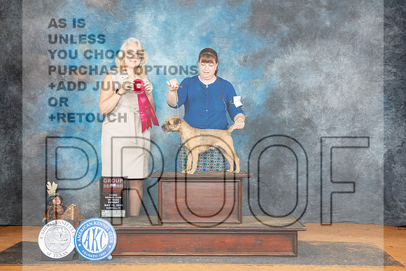 Border Terrier #5 Sun G2 Judge Pamela Wilson__JP_8891_MARSHALL_2024_HR3