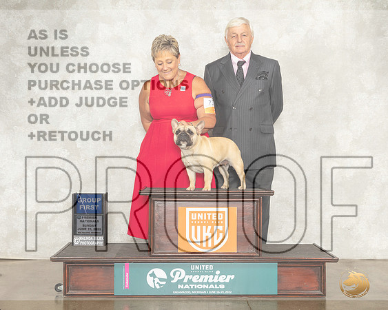 French Bulldog #? Sun G1 Judge Jeanne Heger__MJ_9501_Premier_2022_HR3
