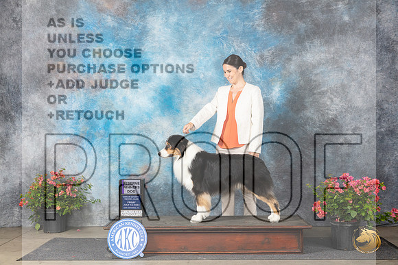 Australian Shepherd #41 Fri RWD Judge Paul F Willhauck__JP_4116_San Antonio_2024_HR3
