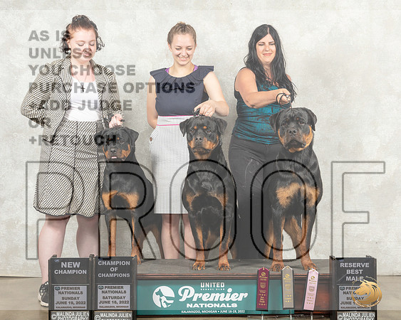 Rottweilers Sun__MJ_9047_Premier_2022_HR3