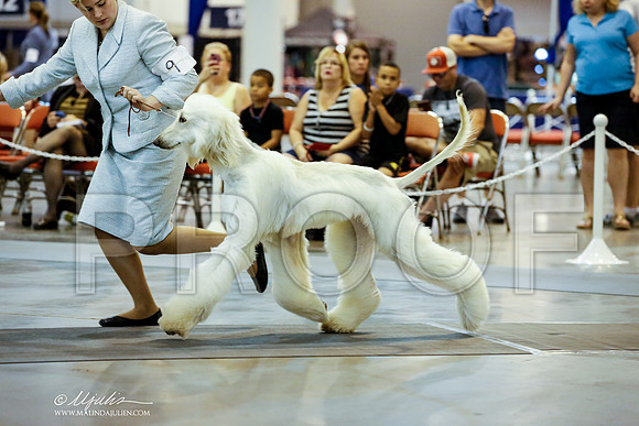 _JJ_5918-HstnJul2014-HR3