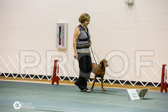 _JJ_4077-BsrCtyJun2014-HR3