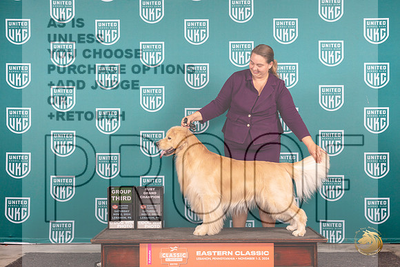 Golden Retriever #192 Sat G3 Judge Kathryn Baxter__JP_2094_UKCEastern_2024_HR3
